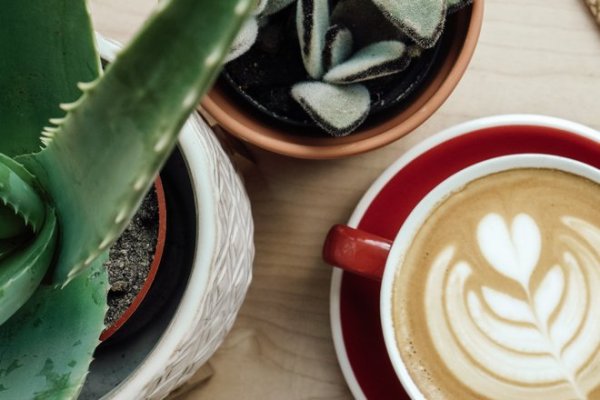 9 Must-Try Coffee Shops In Lubbock - Visit Lubbock