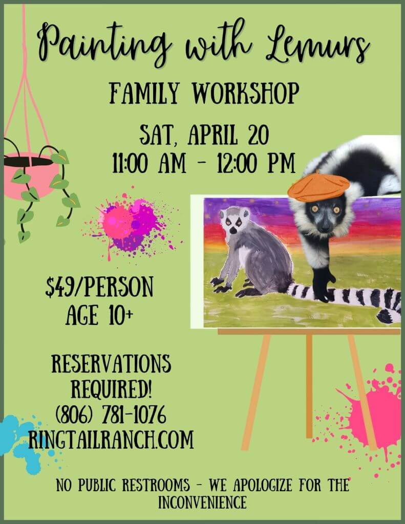 Family Painting with Lemurs Workshop Visit Lubbock